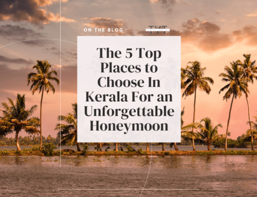The 4 Top Places In Kerala Map For a Great Honeymoon